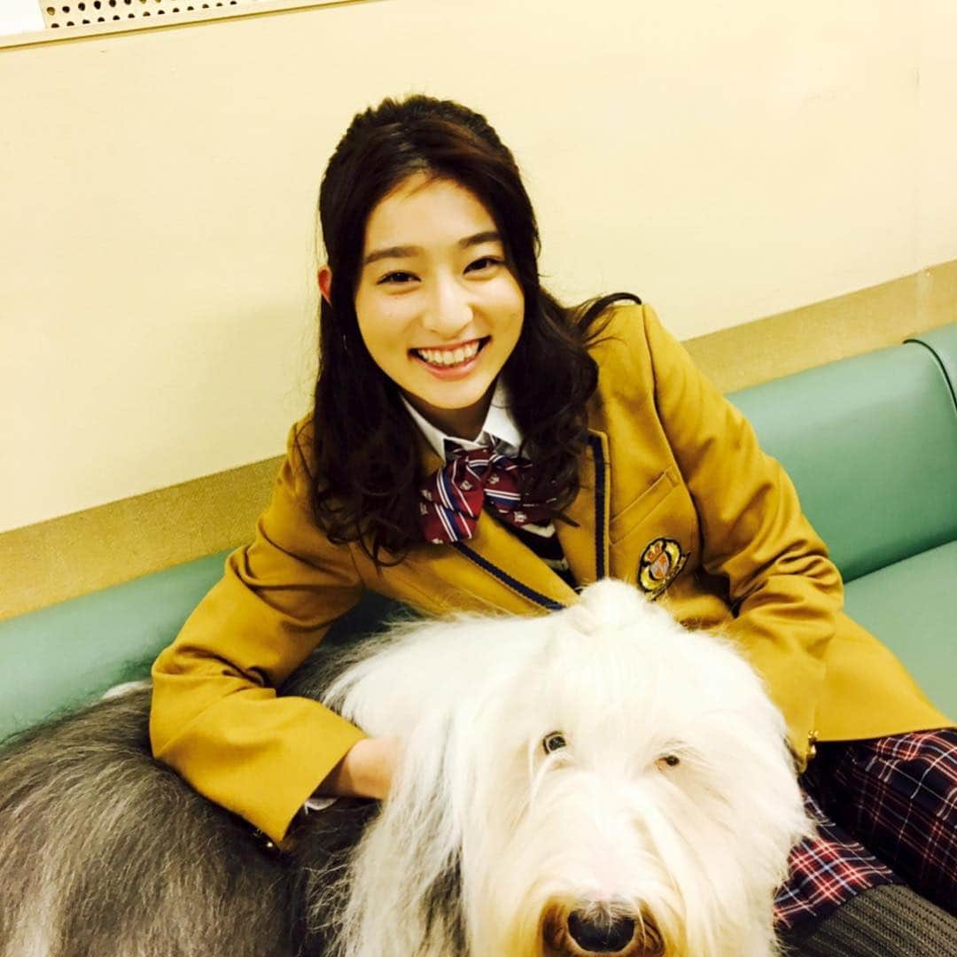 TBS「初めて恋をした日に読む話」のインスタグラム：「皆さん😊こんばんは🐕 #はじこい です❣️🐕❣️ ❣️ 皆大好きとろろ🐕 #エトミカ💐 #塾長📕 #ユリユリ🌷 からオフショット頂きました💝🐕💝 最終話まであと5時間💕📺 お楽しみに💕🌈💕 #tbs #深田恭子 #永山絢斗 #横浜流星 #中村倫也 #生瀬勝久 #吉川愛 #とろろ #抱きしめずにはいられないモジャモジャ感 #最後の最後までお見逃しなく」