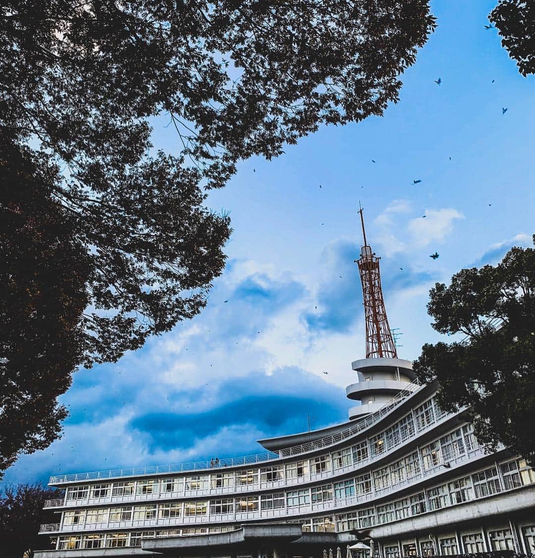 東海大学（公式）さんのインスタグラム写真 - (東海大学（公式）Instagram)「写真募集第2弾！！ ＊ 【#平成最後の スピーチコンテスト】 ＊ 本日の投稿は情報通信学部の学生さんからのお写真です✨ これは昨年12月に行われた『2018 IEC Speech Contest』に参加した後、撮影したとのこと☺︎✨ 1号館がとても素敵に撮られていますね！ご投稿ありがとうございます✨ ＊ 写真はまだまだ受け付けています(^^)/卒業シーズンを迎えた今、東海大学での思い出、大好きな友達や先輩、後輩のみんなと撮ったお写真など、よかったら送ってください✨お待ちしております( * ˊᵕˋ ) ＊ @ xqz_kensei #東海大学 #写真募集 #写真好きな人と繋がりたい #平成最後 #全キャンパス対象」3月19日 17時02分 - tokai_univ_