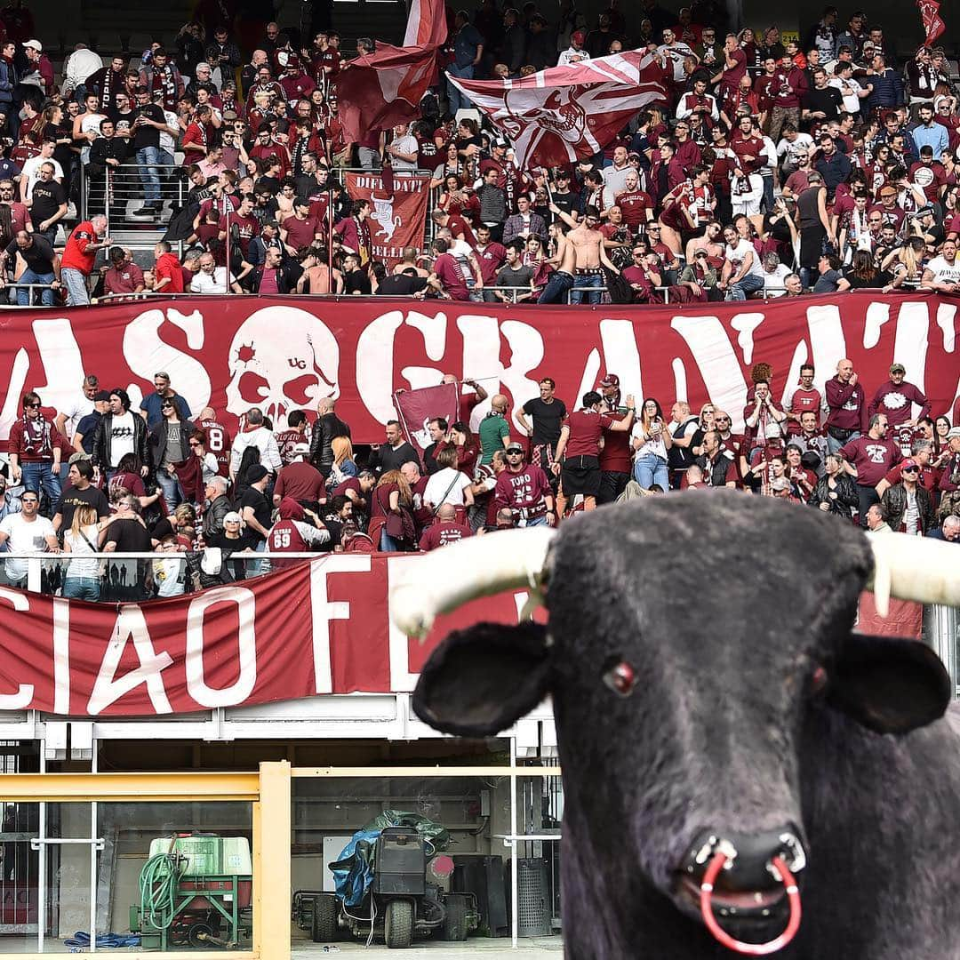 トリノFCさんのインスタグラム写真 - (トリノFCInstagram)「👔Buona festa a tutti i papà granata🐂 ——————————————— #SFT #SempreForzaToro #serieA #football #sangiuseppe #festadelpapà」3月19日 17時36分 - torinofc1906