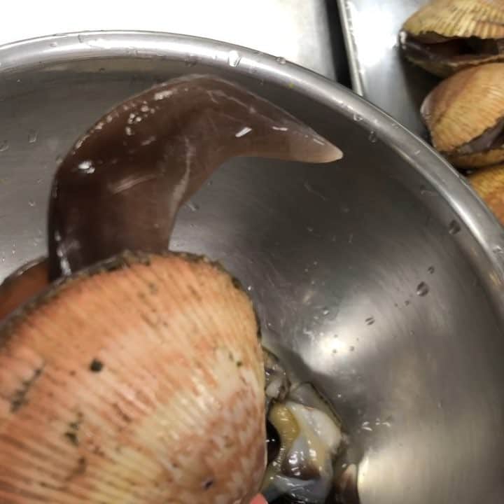 寿司居酒屋 番屋のグルメインスタ