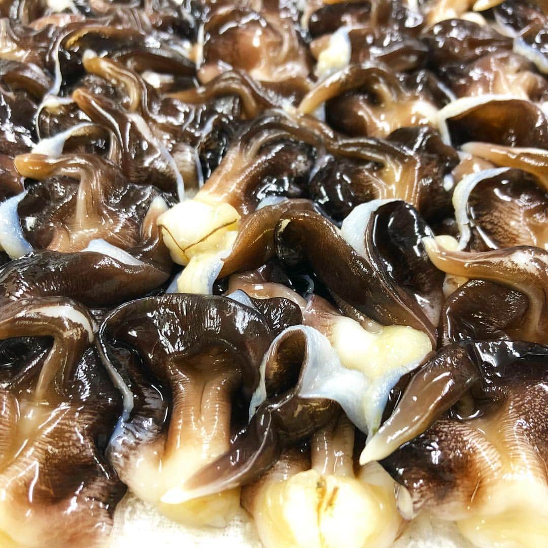 寿司居酒屋 番屋のグルメインスタ