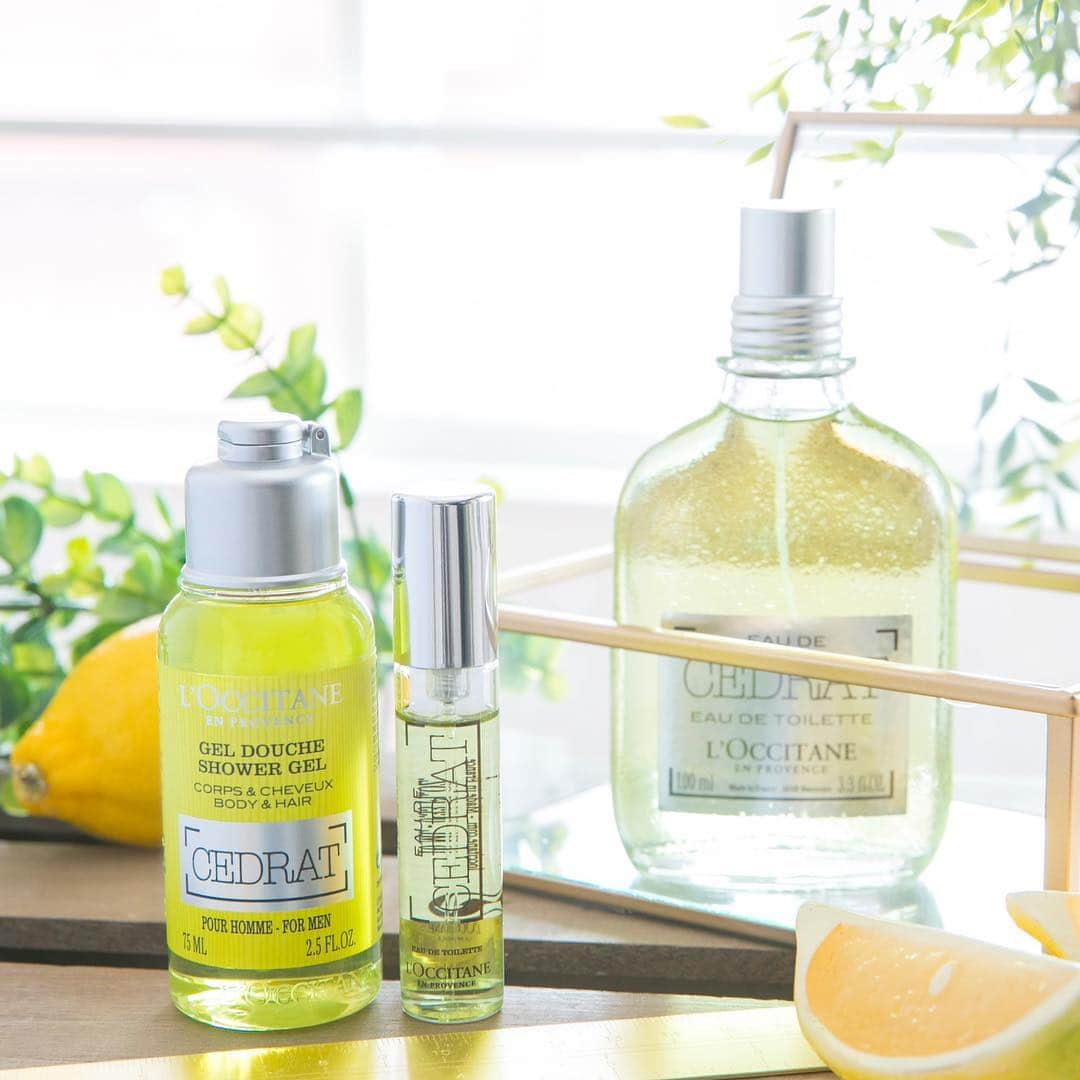 L'OCCITANE en Provenceさんのインスタグラム写真 - (L'OCCITANE en ProvenceInstagram)「どっちにする🍋？ 地中海シトラスの香り・セドラから、ポータブルサイズのギフトセットが数量限定で登場！﻿ ﻿ 香水が苦手な女性にも熱い支持を受ける﻿ メンズシリーズ・セドラ。﻿ ﻿ あなたが気になるのはどちら？﻿ （👉スワイプしてね👉）﻿ ﻿ 🍋セドラ（１枚目）﻿ ﻿ シトラス弾ける、爽快でビターな香り。﻿ 地中海コルシカ島で育まれ、﻿ レモンの原種とも言われるセドラ。﻿ シトラスの爽やかでフレッシュな香りのなかに、﻿ カシミアウッドやナツメグなど、﻿ 大自然の奥深さを漂わせたグランシトラスの香りは、﻿ 自分を貫き、颯爽と大胆に生きたい方にぴったり！﻿ ﻿ 🌱セドラ・オム（２枚目）﻿ ﻿ シトラス＆ミントの新鮮な響き合い。﻿ コルシカ島の爽快な風のなかに感じる﻿ 爽やかでジューシーなシトラスに﻿ 涼やかなミントやブルージンジャーを効かせた﻿ クールなアクアティックシトラスの香りは﻿ 男性へのプレゼントにもぴったり。﻿ ﻿ ﻿ ポータブルサイズは﻿ 出張先やジムなどに持っていくのに便利👟﻿ ﻿ スリムサイズのオードトワレは、﻿ 香りの付け足しもサッとできて﻿ スマートかつスピーディ。✨﻿ ﻿ 爽やかで知的な香りが﻿ 周りまで自然と惹きつけます。﻿ ﻿ トライアルにはもちろん、大切なあの人へのギフトにも🎁﻿ ﻿ ﻿ #セドラ #オードトワレ #ユニセックス #香水 #シトラス #レモン #柑橘系 #地中海 #メンズコスメ #ユニセックス #メンズギフト #メンズ香水 #ユニセックス香水 #美意識  #ビューティー #シャワージェル #ミント #香り #癒し #ご褒美コスメ #コスメ好き #キレイになりたい #ロクシタン #コスメマニア #香りのある暮らし #香水マニア #美意識 #いい匂い #いい香り #いいにおい #香水コレクション  #LOccitane」3月19日 18時13分 - loccitane_jp