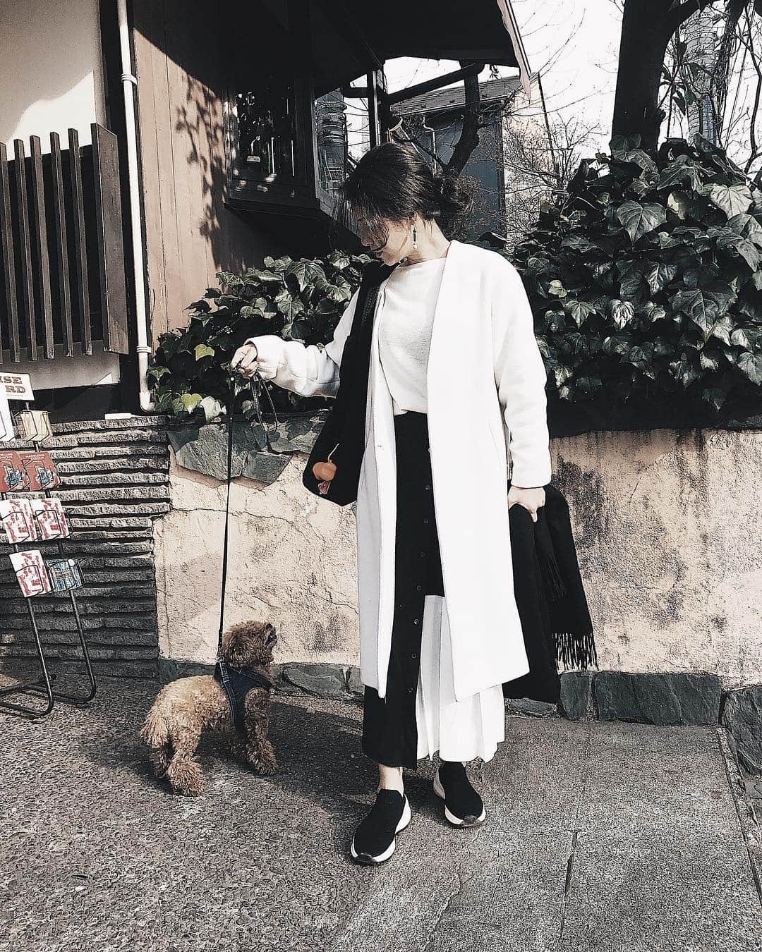 のインスタグラム：「桜❀.*･ﾟ 開花するかな〜｡:ஐ⋆* わくわく♪  はよ見たい♡ はよ暖かくならんかな♡  ポカポカ陽気の中を 散歩したいな🐾  #春よこい #早く来い #桜開花待ち遠しい #散歩 #toypoodle #dogstagram」