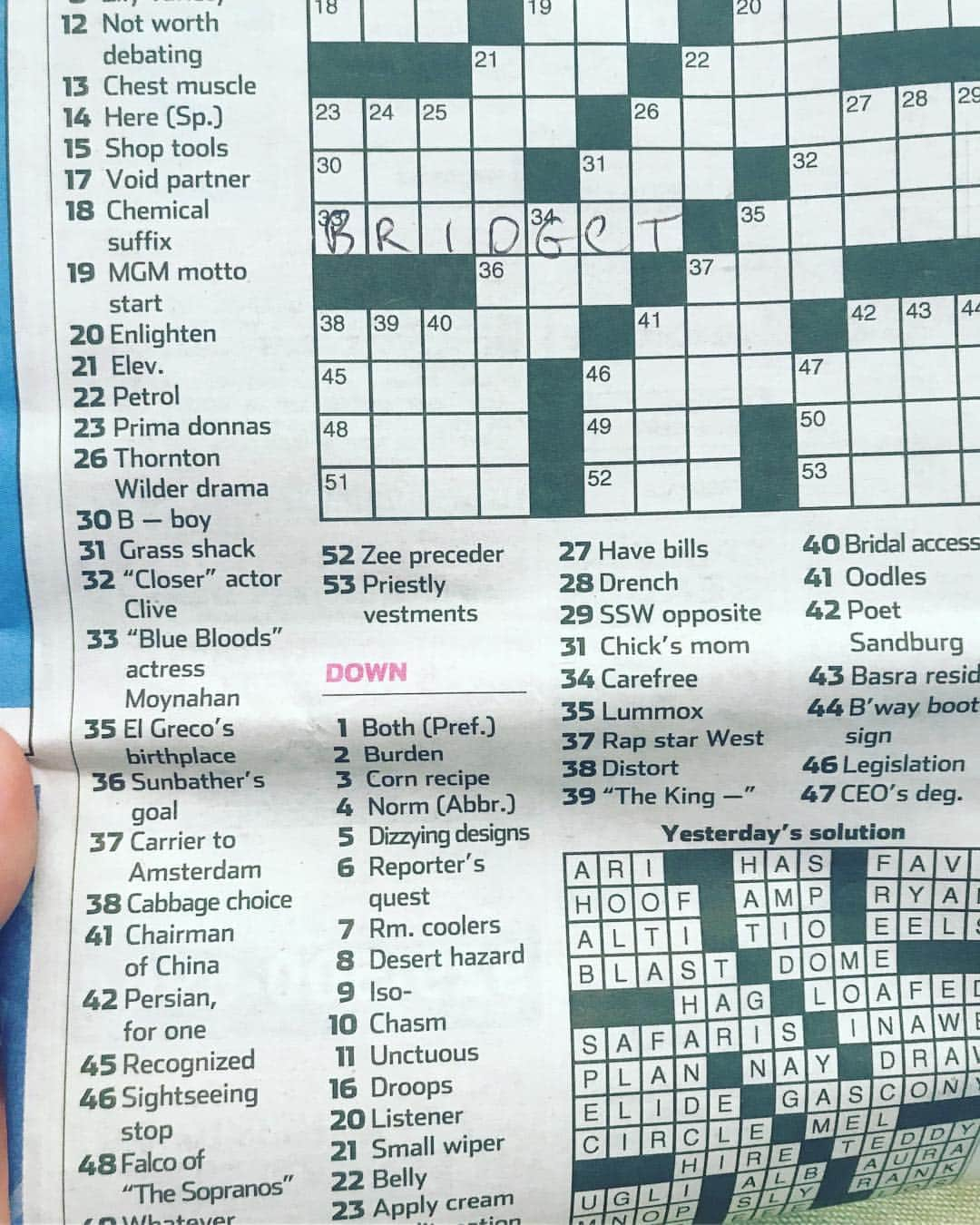 ブリジット・モイナハンさんのインスタグラム写真 - (ブリジット・モイナハンInstagram)「Ok, Pinch me #oddgoals #crossword @bluebloods_cbs」3月20日 4時28分 - bridgetmoynahan