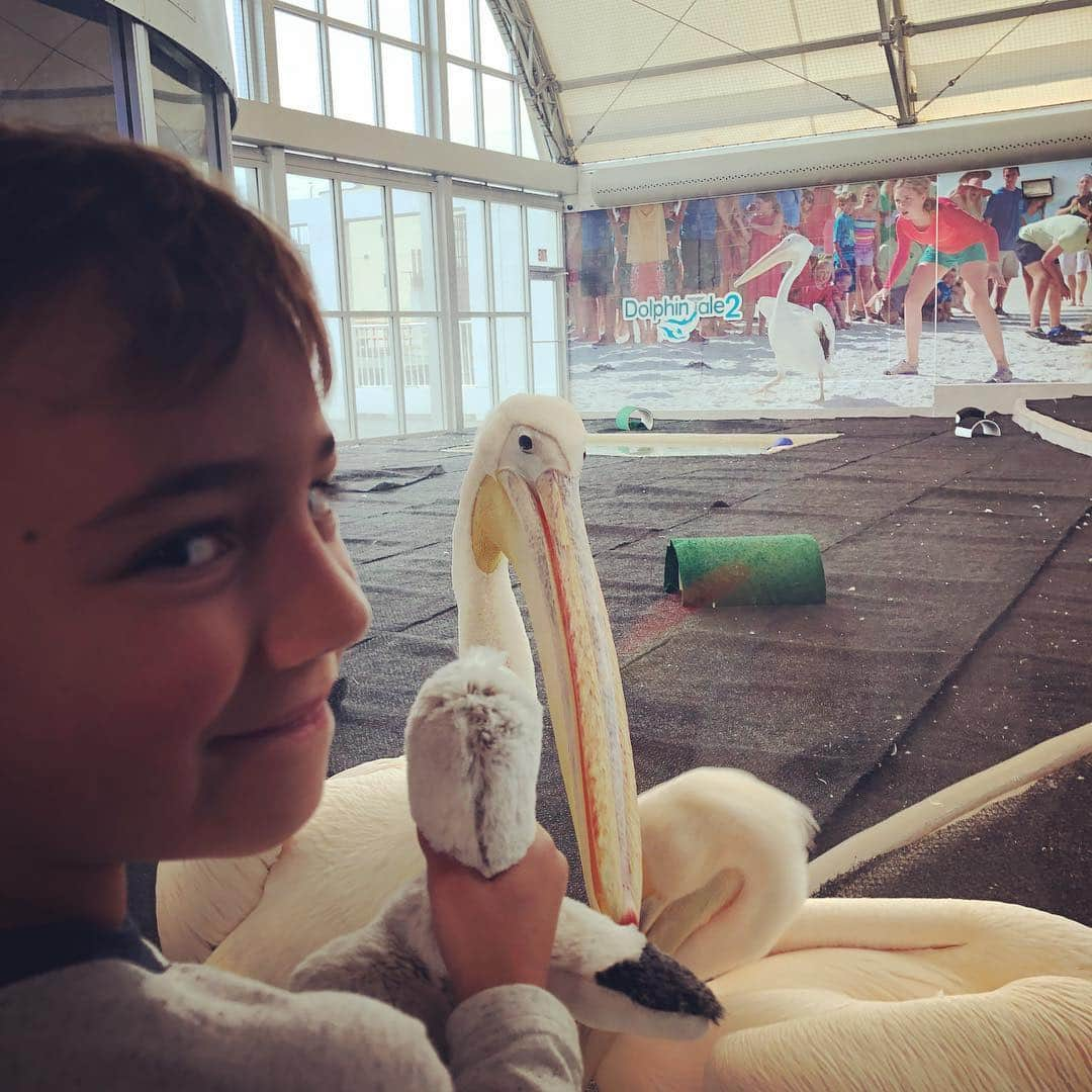 バッバ・ワトソンさんのインスタグラム写真 - (バッバ・ワトソンInstagram)「We had the best time meeting Hope & Winter and learning so much at our dolphin 🐬 encounter @cmaquarium today! Got to say hi to Rufus the pelican too!  Big thanks to @valsparchamp for making it happen! #FamilyFun #clearwateraquarium」3月20日 4時50分 - bubbawatson