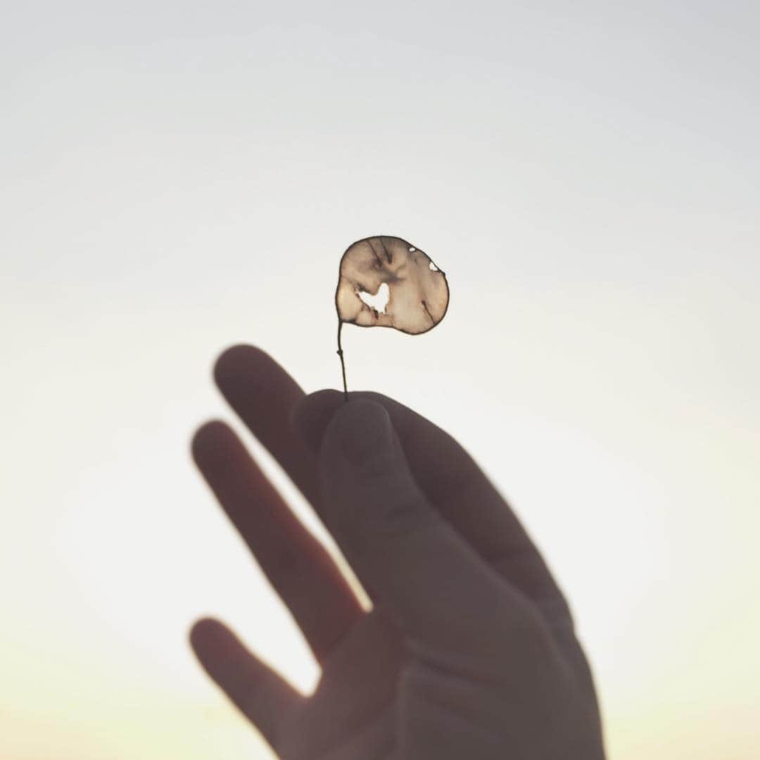 naorinmoonのインスタグラム