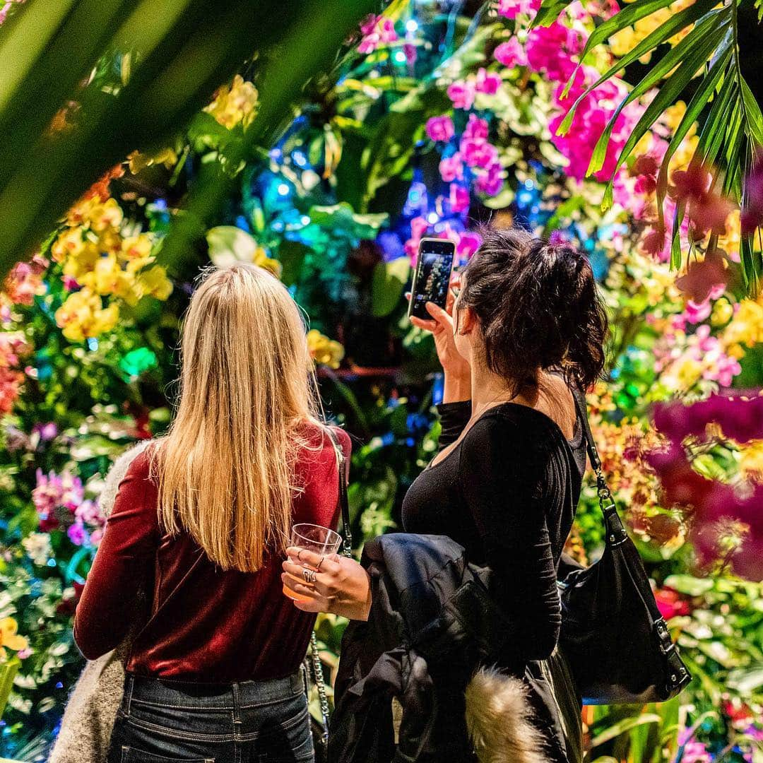 ニューヨーク植物園さんのインスタグラム写真 - (ニューヨーク植物園Instagram)「Get a sneak peek into our latest Orchid Evening experience with all the energy and nightlfe of Singapore right here at NYBG. It’s a colorful tropical escape among our brilliantly lit homage to the island’s Supertrees, complete with performances by DJ @tuneintoeli, @venuschun dance, drinks, and bites from @bronxnightmarket. These events do sell out, so don’t wait! #orchidnybg」3月20日 5時04分 - nybg