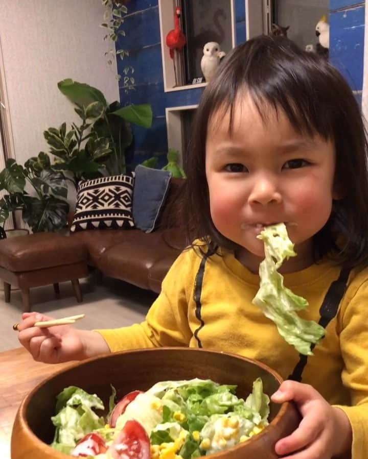 いなざうるす屋のインスタグラム