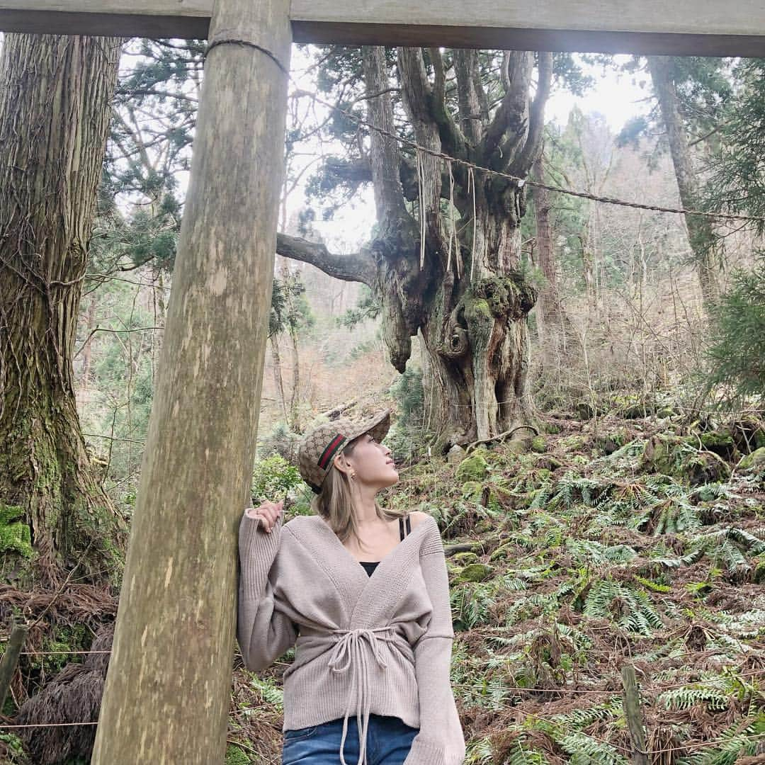 平田梨奈さんのインスタグラム写真 - (平田梨奈Instagram)「This Giant Chichi-sugi Japanese Cedar tree is 800years  old 🌲It was a little long ride to the tree but when we got there the air and nature was amazing 😌💕 #隠岐の島  #okinoshima #japan # #okiisland #japaneseculture #besttravelpics #besttrvellocation #yoroisland #amamiisland #japaneseculture #besttravelpics #besttrvellocation #trip #インバウンドトラベラーズ #famtrip  #hirafashion @beep_ss」3月19日 20時33分 - hirari_official