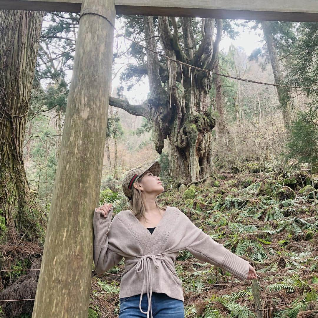 平田梨奈さんのインスタグラム写真 - (平田梨奈Instagram)「This Giant Chichi-sugi Japanese Cedar tree is 800years  old 🌲It was a little long ride to the tree but when we got there the air and nature was amazing 😌💕 #隠岐の島  #okinoshima #japan # #okiisland #japaneseculture #besttravelpics #besttrvellocation #yoroisland #amamiisland #japaneseculture #besttravelpics #besttrvellocation #trip #インバウンドトラベラーズ #famtrip  #hirafashion @beep_ss」3月19日 20時33分 - hirari_official