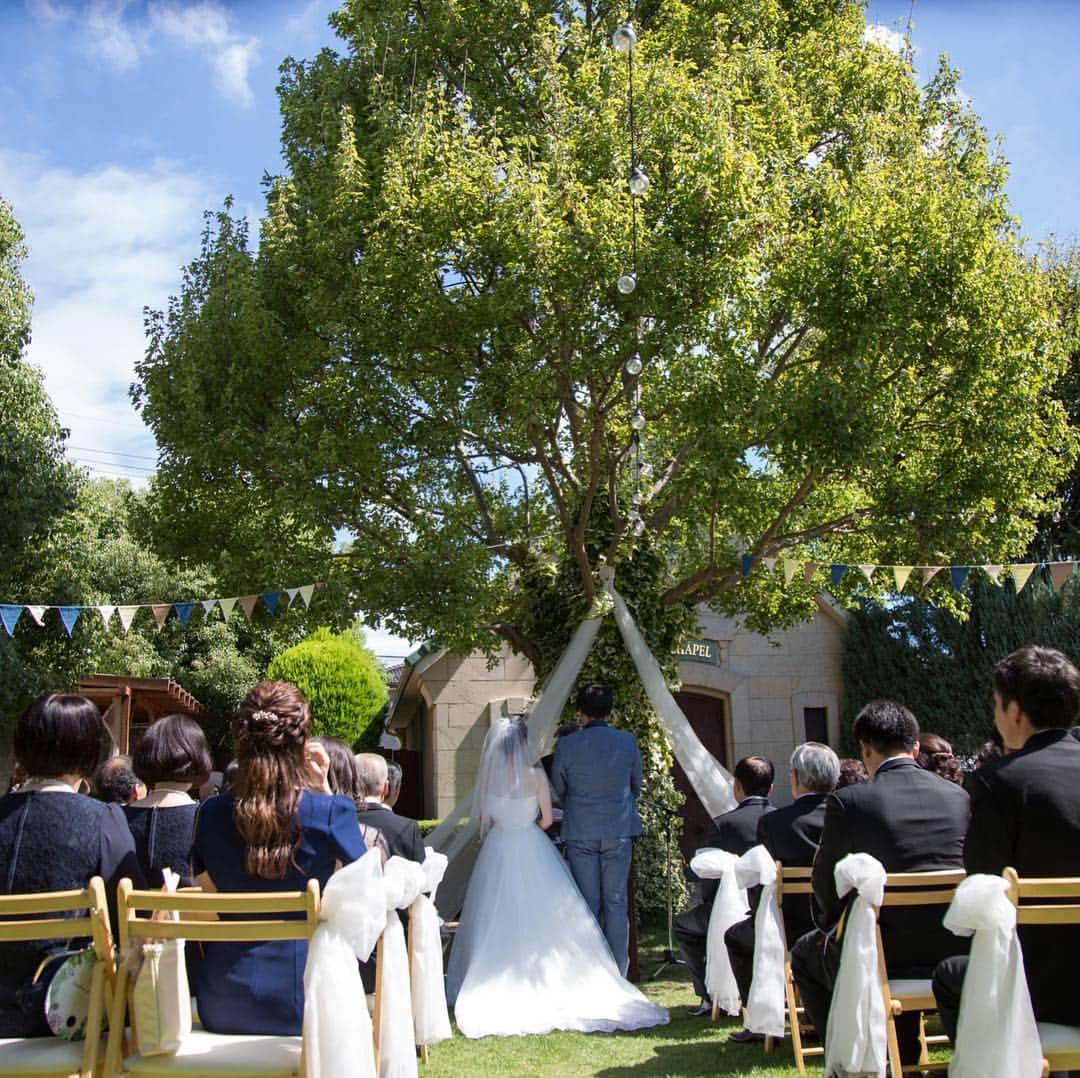 The Sally Garden（ザ サリィガーデン）のグルメインスタ