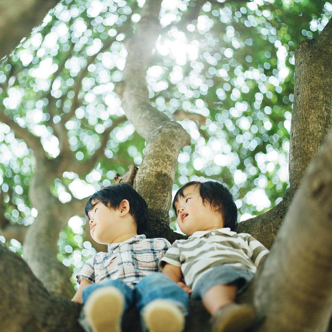 濱田英明のインスタグラム：「Thank you for the 10 years! from the classics, 2009-2011 #haruandmina #pentax67」