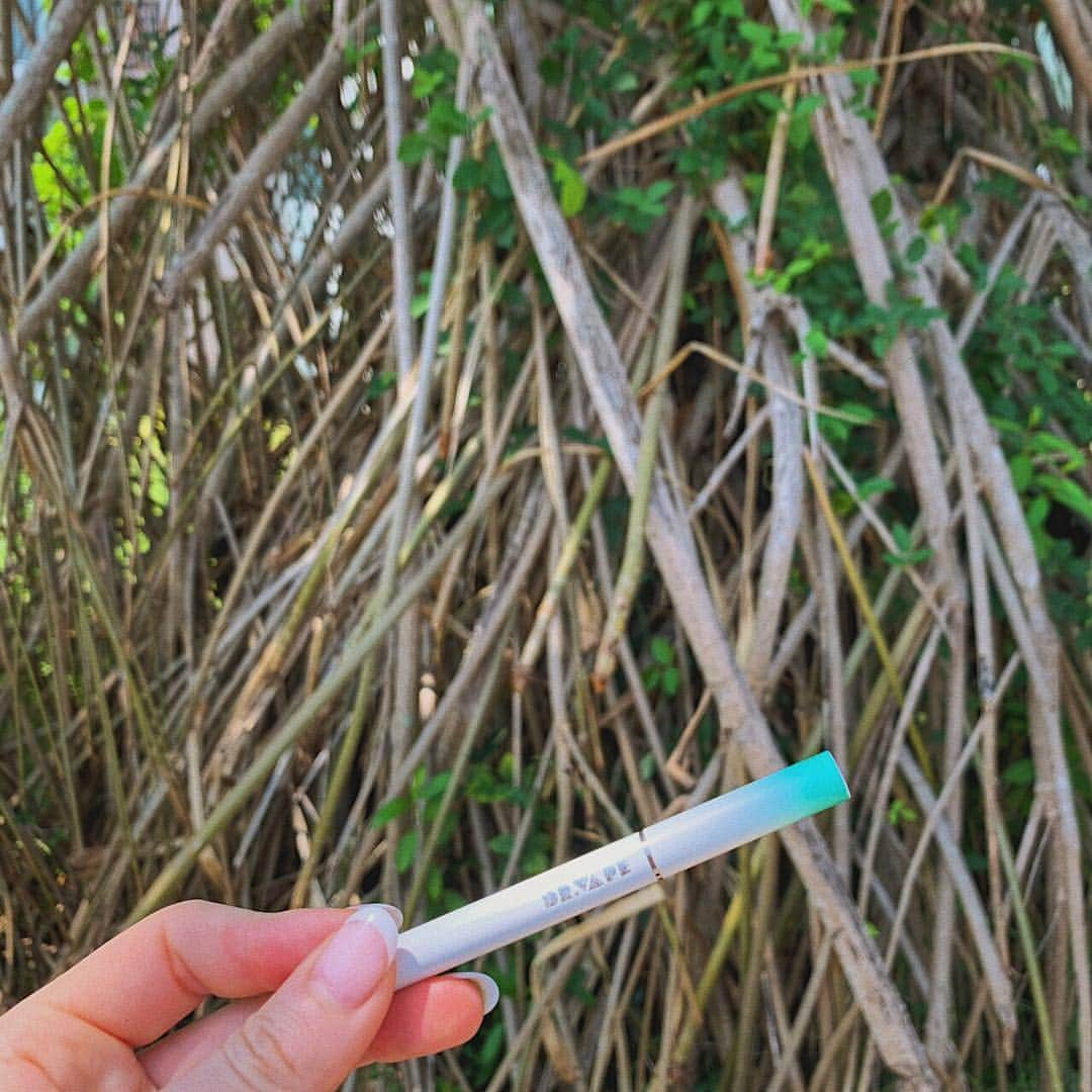 DR.VAPEさんのインスタグラム写真 - (DR.VAPEInstagram)「スリランカ🇱🇰で見つけた不思議な木🌿 世界には色々な植物がいますね😊 * * #DRVAPE#VAPE#srilanka#colombo#tree#nature#traveltotheworld#instagood#travelgram #ドクターベープ#べイプ#コロンボ#スリランカ#不思議な木#東南アジア#南国#リゾート#世界旅行#健康#環境保護#禁煙#旅好きな人と繋がりたい#インスタ映え#電子タバコ#旅好き#ダレカニミセタイケシキ#タバコ#禁煙したい#アジア旅行#植物」3月19日 21時47分 - dr.vape_official