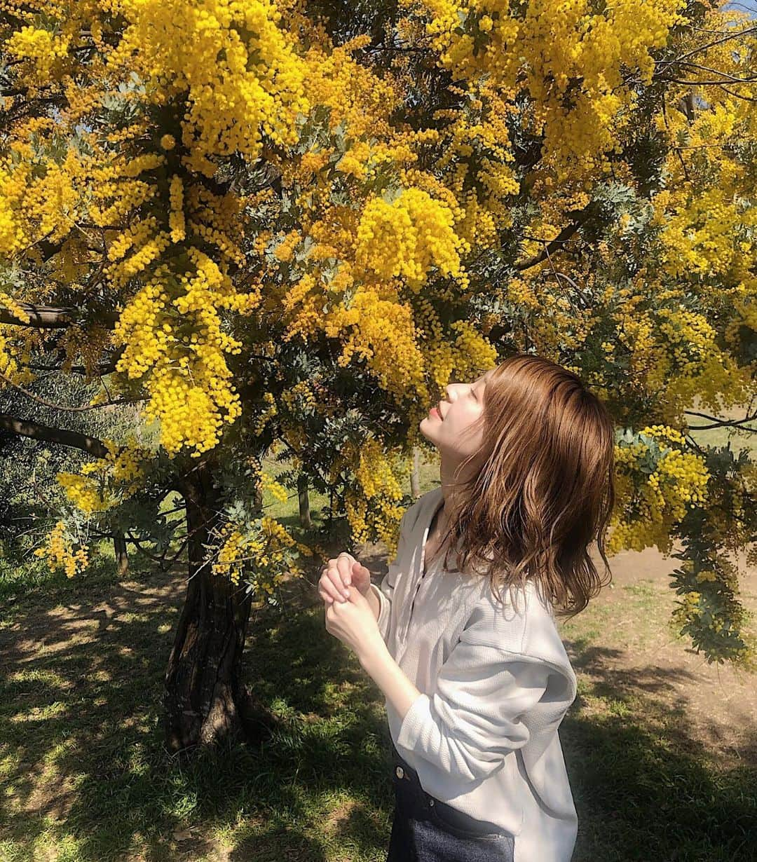 工藤はるかさんのインスタグラム写真 - (工藤はるかInstagram)「ㅤㅤㅤㅤㅤㅤㅤㅤㅤㅤㅤㅤㅤ ミモザ〜〜 🌼 ㅤㅤㅤㅤㅤㅤㅤㅤㅤㅤㅤㅤㅤ @kastie_official のサーマル。 インナーにTシャツ着てもかわいいし、 1枚でも◎ 着心地にもこだわって生地を選んだので はやくみんなの手元に届いてほしい..♡ ㅤㅤㅤㅤㅤㅤㅤㅤㅤㅤㅤㅤㅤ #kastie」3月19日 21時47分 - har_326