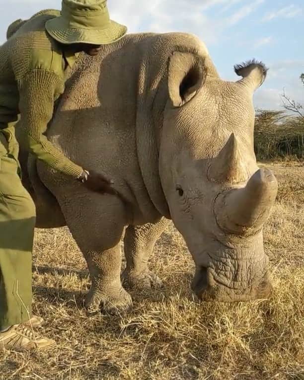 ナショナルジオグラフィックのインスタグラム