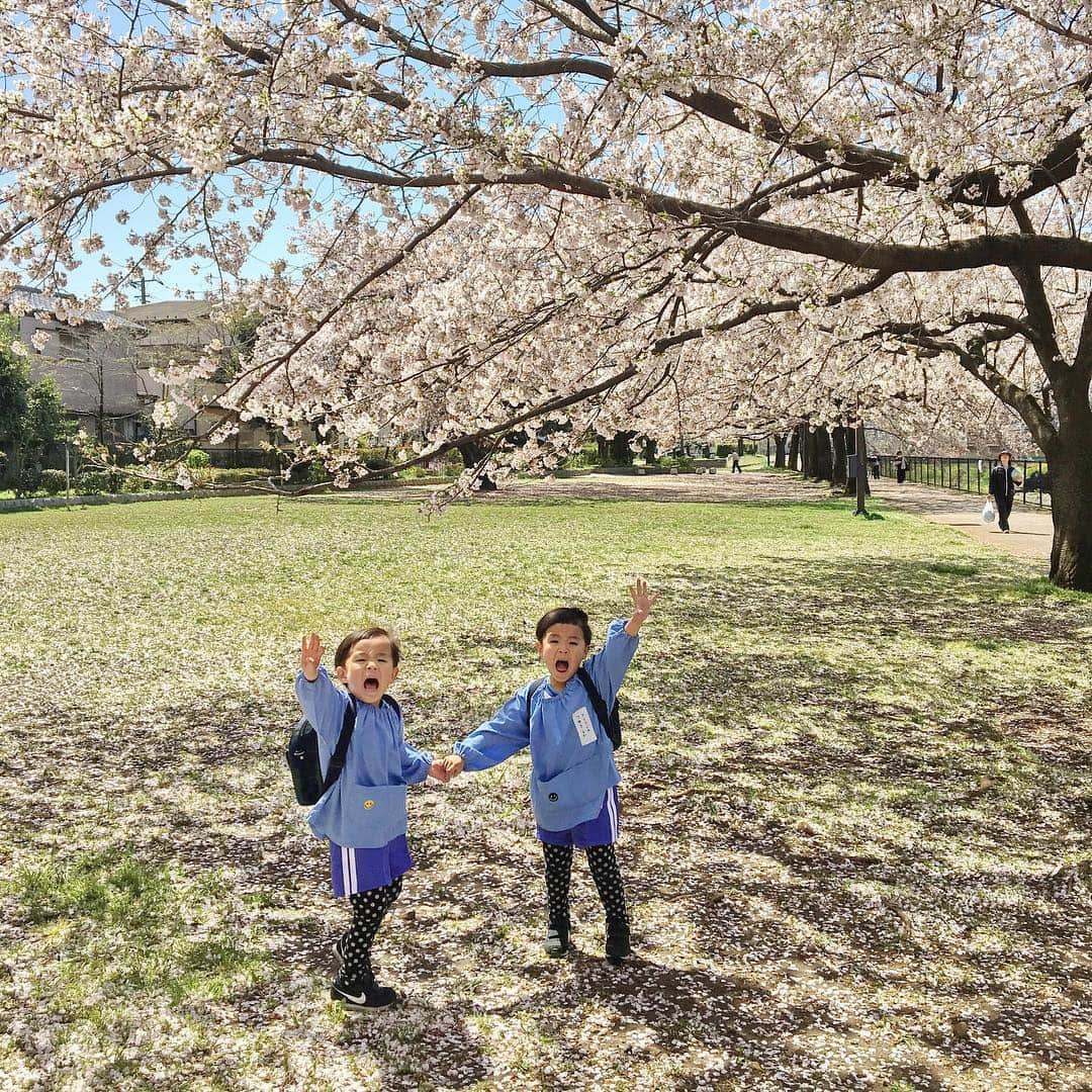 ᴋᴀɴᴀᴋöさんのインスタグラム写真 - (ᴋᴀɴᴀᴋöInstagram)「#卒園式 🏫🎓✨ 無事 幼稚園を 卒園しました👦🏻👦🏻㊗️🎉💮 * 入園当初は、幼稚園に行きたくない😭😭って  毎日泣いていた ツインズ君も、 いっぱい笑って、いっぱい泣いて、いっぱい成長できて… 楽しい園生活を 過ごす事が出来ました❤️ * これも、大好きな先生、お友達、ママさん達のおかげ🌸 本当に この園を選んでよかった☺️🌈✨ * 4月から 小学生なんて…信じられない😭🙏💕 成長が 嬉しい反面、やっぱり 寂しい…複雑な親心😭🎓 * #卒園おめでとう #rioruka_幼稚園記録_  #卒園#幼稚園#2年保育#涙#感動#ありがとう」3月19日 22時02分 - kanakokko_34_