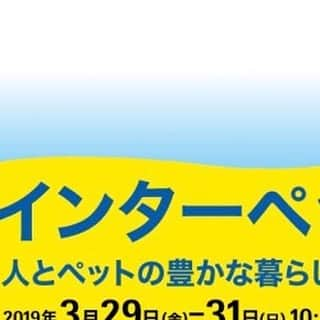 CheriWANさんのインスタグラム写真 - (CheriWANInstagram)「﻿ こんばんは❗﻿﻿ 今日はお知らせです✨﻿﻿ ﻿﻿ 【インターペット(interpets)～人とペットの豊かな暮らしフェア～】﻿﻿ に2019年3月30日(土)～31日(日)﻿﻿ CheriWANの出展が決まりました🐶💓﻿﻿ ﻿﻿ CheriWAN (株式会社ECホールディングス)のブースは﻿ 【東2ホール土日限定ゾーンD-006】です❗﻿ ﻿﻿ CheriWANでは人気商品の﻿﻿ 米粉のパンケーキミックスや﻿﻿ プラセンタおやつをご用意🥞❤️﻿﻿ ﻿﻿ ぜひぜひお越しくださいっ😊﻿﻿ ﻿﻿ #インターペット #interpets #横浜ドッグウィーク2019 #CheriWAN #シェリーワン #犬 #ふわもこ部 #愛犬 #わんこ#ペット #いぬすたぐらむ #ワンコ#無添加 #無着色 #無香料 #米粉パンケーキミックス #グルテンフリー #米粉 #ドッグフード #トリーツ #いぬ#いぬのおやつ #ワンちゃん用 #いちご #ドライフルーツ #love」3月19日 22時17分 - cheriwan_official