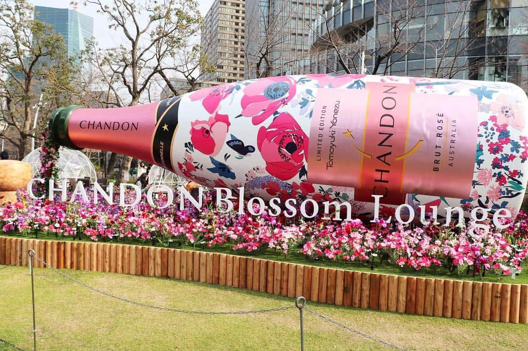 Miku Hirata 平田未来さんのインスタグラム写真 - (Miku Hirata 平田未来Instagram)「#chandonblossomlounge 😊💓💓 桜の季節におススメです☺️💐 * 子供も食べられるスイーツ🍰ということで、#チョコレートクッキー に🧒💓 紅茶やコーヒーで、くつろぐこともできます🛋 * ひざ掛けもありサービスも🙆‍♀️ 子供がもう少し落ち着いたら、ドーム型のテントにも行きたい…🏕🎪💓 * 開催期間中に、もう少し行きたいな☕️💓 * * 空き時間に、前にもご紹介した、 1000種類以上のスロットゲームでも少し遊んだよ🥰日本語によるサポートも完備✨ いつでもどこでも遊べるのがいいですね🌷ハワイの音楽が流れてきてリゾート気分に…🌻 ゲームの画面は写真ラストに✨ * * 詳細はこれ↓  http://phoenix.vsvsl.com/asia/?share_code=dbr * * @casinowunderino #wunderino #wunderinocasino #upyourgame #japan * * いろいろ盛り込んでごめんなさい🙏 明日は可愛い場所へ😍💓投稿やストーリーを楽しみに❣️ * * #乃木坂カフェ #期間限定カフェ  #可愛いスポット #シャンドンブロッサムラウンジ #桜カフェ  #chesty #チェスティ #チェスティコーデ #ピンクコーディネート #花柄コーデ #ママコーディネイト  #男の子ママコーデ #1歳ママ #2歳ママ #ゲーム遊び #携帯ゲーム #スマホゲーム #スロットゲーム #お昼寝タイム #パソコンゲーム #ゲーマー女子  #いいね返し #いいねした人全員フォローする」3月19日 22時29分 - miku.hirata