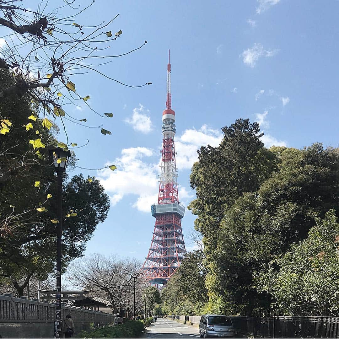 Michikoさんのインスタグラム写真 - (MichikoInstagram)「_______ MARCH 9, 2019 ✨✔️ . 今年は #増上寺 へ行ってから、良いことが続いてる🙏🏻 あのタイミングで行って本当によかった。 . 縁起が良いから記念にポスト。 パワースポット的な場所になった💪🏻 . . 東京タワーも好き。 見ると、もう少しがんばってみよう って思う。 . 陽が落ちた後の成田から都内への帰路で、 #レインボーブリッジ から夜景の中の東京タワーを見ると さぁ またがんばろう っていつも思う。 . たまに嫌になることはあるけれど、 なんだかんだで東京は好き🗼😊 . . #zojoji #omikuji .」3月19日 22時39分 - michiko.jp