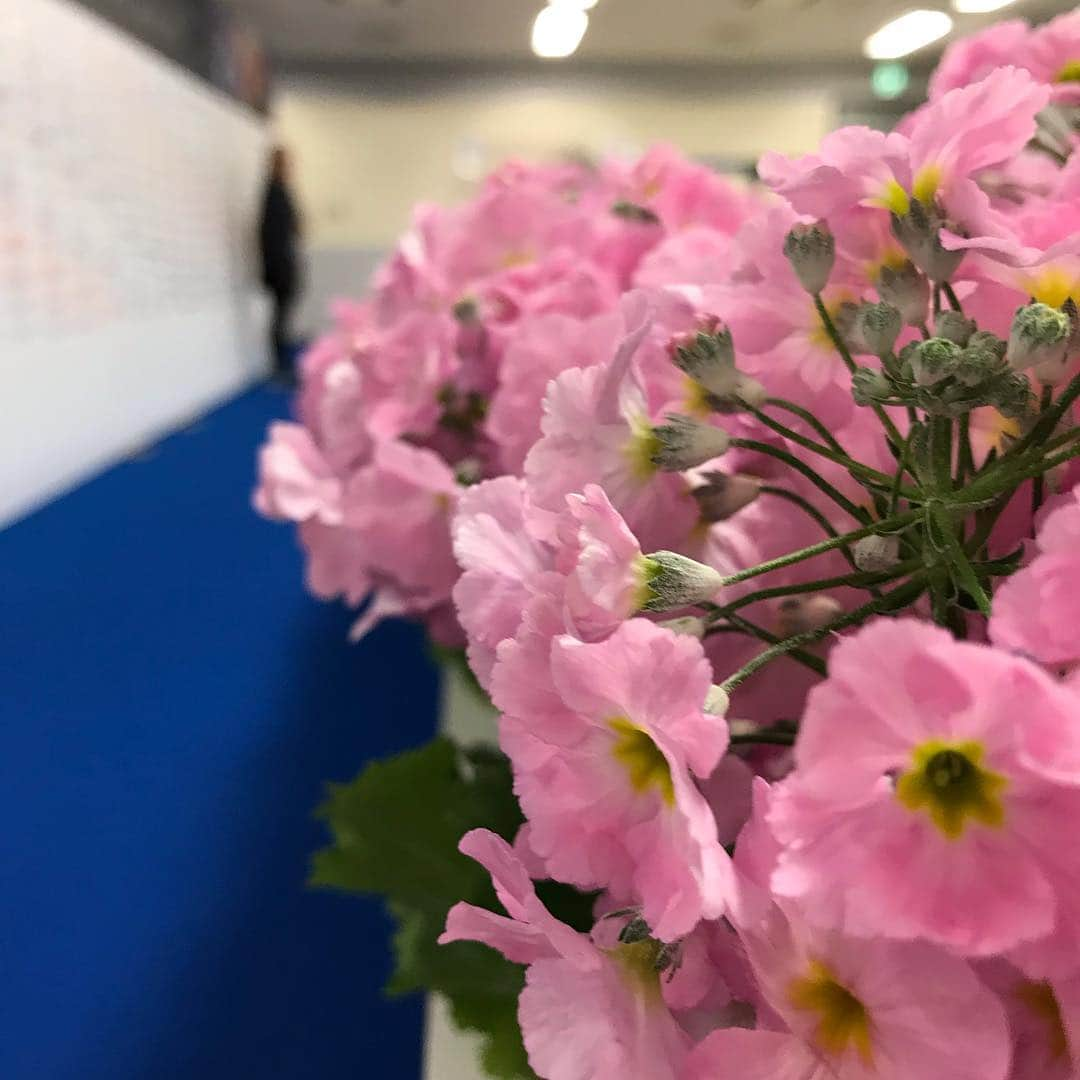 キャシー・リードさんのインスタグラム写真 - (キャシー・リードInstagram)「Practice Day at the 2019 World Figure Skating Championships🌸 #worldfigure #kinoshitagroup #isu #isumediahost #saitama #superarena #superexcited #valterrizzo #oneofmyfirstcoaches #sohappytoseealandsaul #bestsistaeva #missingchris #goodlucktomystudents #rikakihira #satokomiyahara #紀平梨花 #宮原知子」3月19日 22時42分 - cmr2070