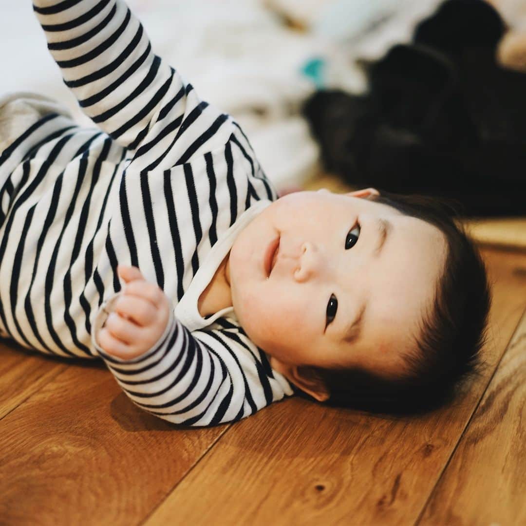 Takafumi Gotoのインスタグラム：「雫さん、毎日部屋中を縦横無尽に散策されてます。ずりばいの動きが滑らかすぎて、シンゴジラ第二形態もビックリ🦖」