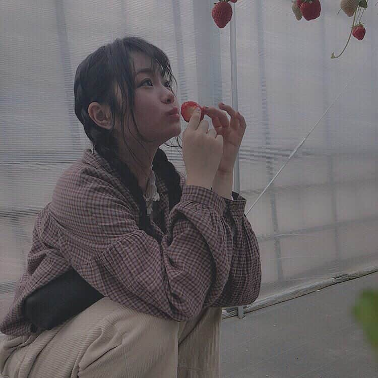 鹿沼亜美さんのインスタグラム写真 - (鹿沼亜美Instagram)「2019/03/19 着々と赤くなる苺の成長過程がわかる絵が撮れて満足、たくさんイチゴが食べれて満足。そんな今日のイチゴ狩り  #イチゴ狩り  #lumixgf7  #カヌマノセカイ」3月19日 23時05分 - ami_1212one