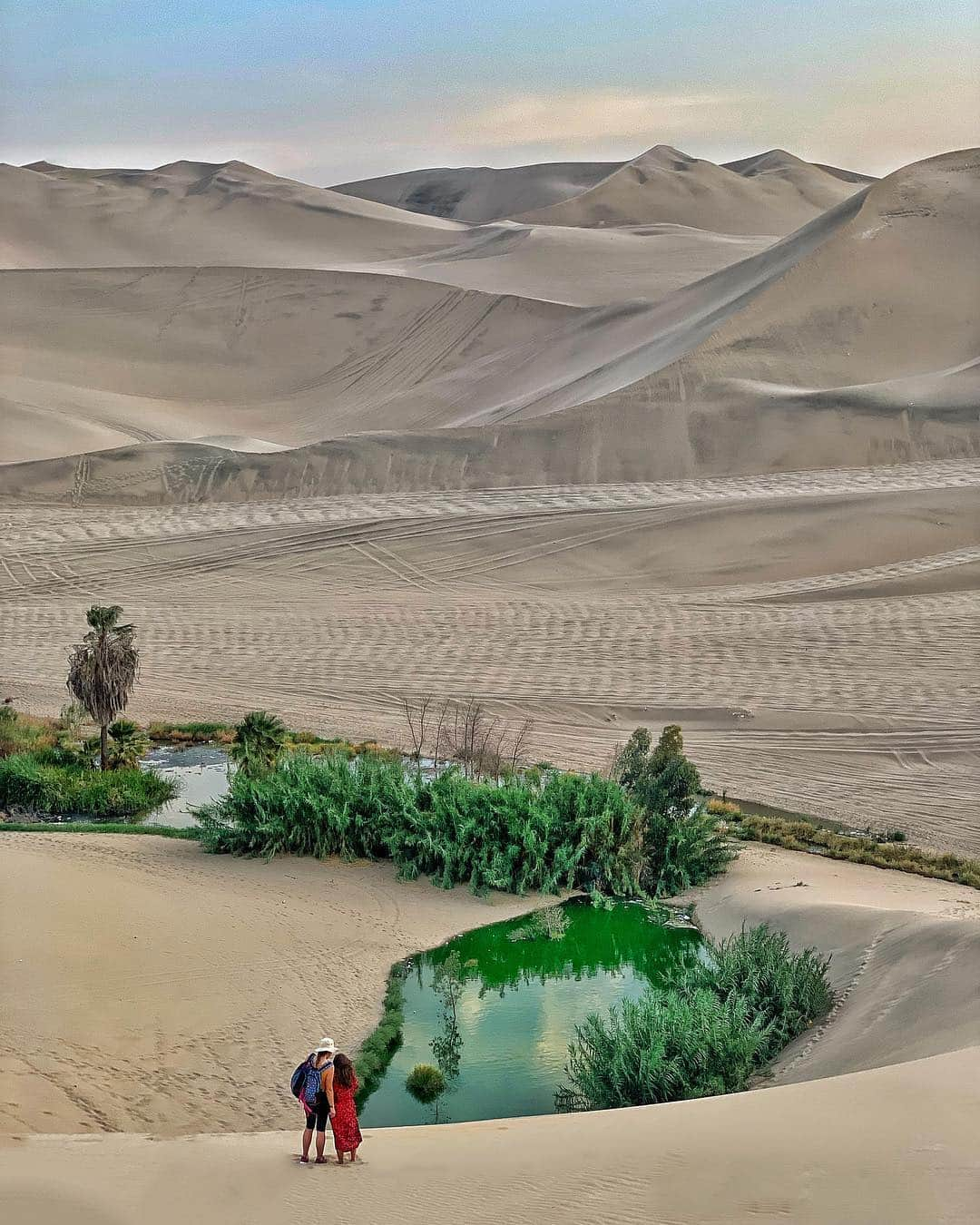 Wonderful Placesさんのインスタグラム写真 - (Wonderful PlacesInstagram)「Huacachina and Islas Ballastas - Peru ✨✨@visitsouthamerica.co✨✨ . Pic by @cbezerraphotos #visitsouthamerica #experienceperu」3月19日 23時17分 - wonderful_places