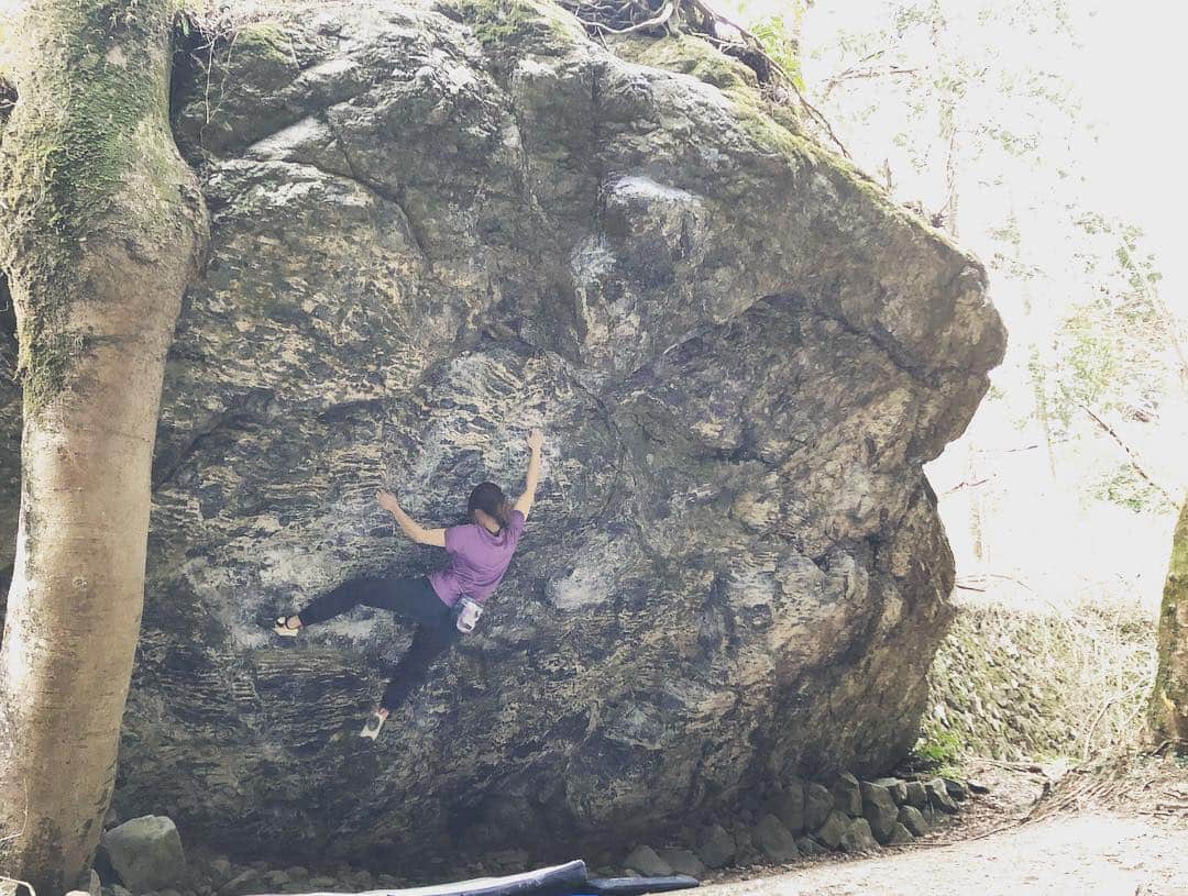 白數里子さんのインスタグラム写真 - (白數里子Instagram)「久しぶりにのんびり、しっかりと岩でのクライミング。  一手一手、緊張感とリラックスを身体の隅々まで感じて楽しかった。  しっかりと登れるようになったこと、また御岳に来る理由を見つけられたこと、どっちも嬉しい。 @icebreakerjp  @eyecandyworks  @lasportivajp」3月19日 23時28分 - satopoppo1124