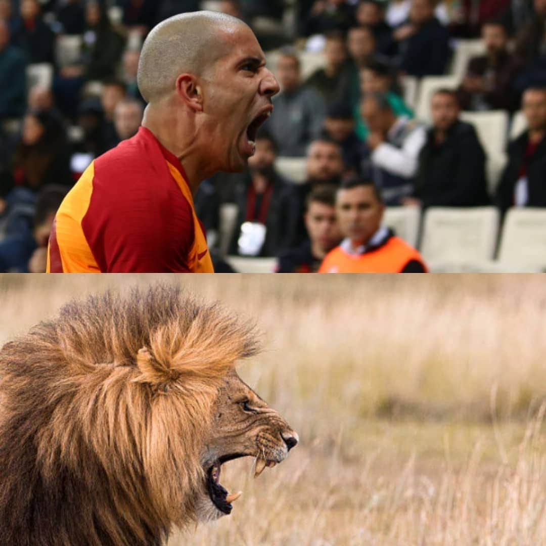 ガラタサライSKさんのインスタグラム写真 - (ガラタサライSKInstagram)「🦁 = @sffeghouli」3月19日 23時40分 - galatasaray