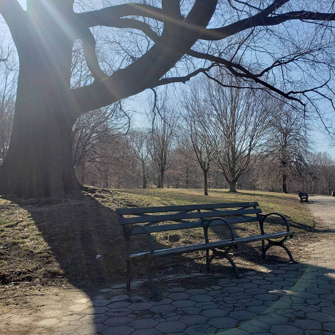 チャド・コールマンさんのインスタグラム写真 - (チャド・コールマンInstagram)「Hello from #Brooklyn Say hi with a pic where you are!👋🏽 Much love amazing living beings!」3月19日 23時36分 - chadlcoleman