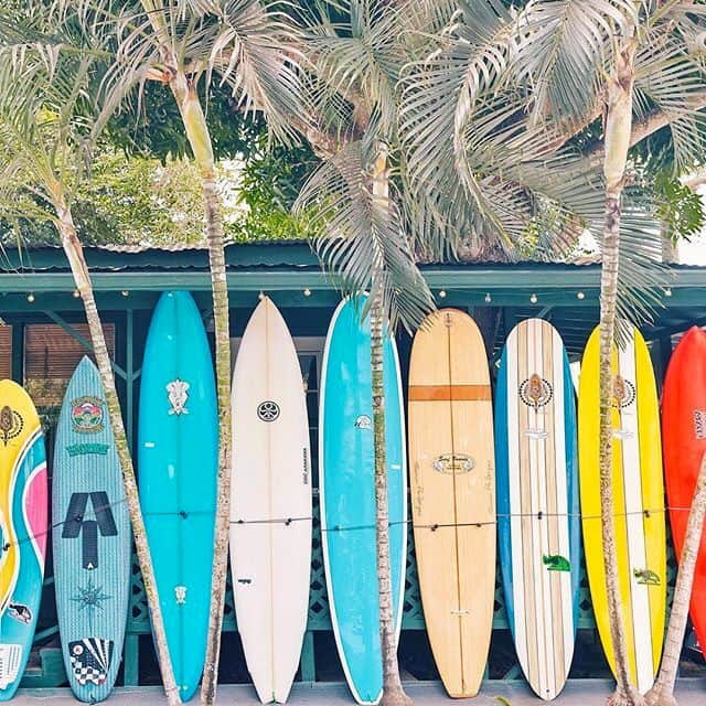 のインスタグラム：「Surf's up, board's out! Live your life vibrantly. It's the Alice & Trixie motto! ⠀⠀⠀⠀⠀⠀⠀⠀⠀ .⠀⠀⠀⠀⠀⠀⠀⠀⠀ .⠀⠀⠀⠀⠀⠀⠀⠀⠀ .⠀⠀⠀⠀⠀⠀⠀⠀⠀ .⠀⠀⠀⠀⠀⠀⠀⠀⠀ .⠀⠀⠀⠀⠀⠀⠀⠀⠀ .⠀⠀⠀⠀⠀⠀⠀⠀⠀ . #surf #surfingiseverything #surfsup #surfboards #surflife #surfing #surfphotography #beach #beachlife #surfersparadise #surfingday #instasurf #summer #photography #travel #beachlife #surfstyle」