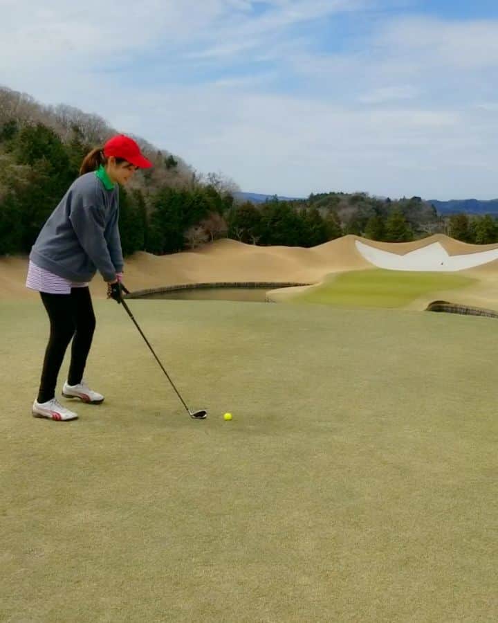 武田しのぶのグルメインスタ