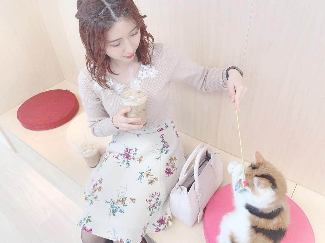 綾瀬麗奈さんのインスタグラム写真 - (綾瀬麗奈Instagram)「☺️💐 . . 名古屋PARCO midi 3階 「Moff animal cafe」🐱 @moff_parco.nagoya . また会いにいかなきゃ😌💕 会えるうちに。会わないとね。 たくさん猫ちゃんの投稿したけど、 ここでおわり😌💐 . おやすみ🧸🌸✨ . . . #moffanimalcafe #モフアニマルカフェ #名古屋parco #名古屋パルコ #動物カフェ #アニマルカフェ #猫カフェ #栄カフェ #矢場町カフェ #カフェ巡り #ラテアート #サカエゴーラウンド #猫 #ねこちゃん . #綾瀬麗奈 #アイドル #dela #役者 #名古屋 #名古屋観光文化交流特命大使 #トレーニング女子 #筋トレ女子 #荒野行動女子 #tiktok #tiktokjapan」3月20日 0時28分 - ayasereina