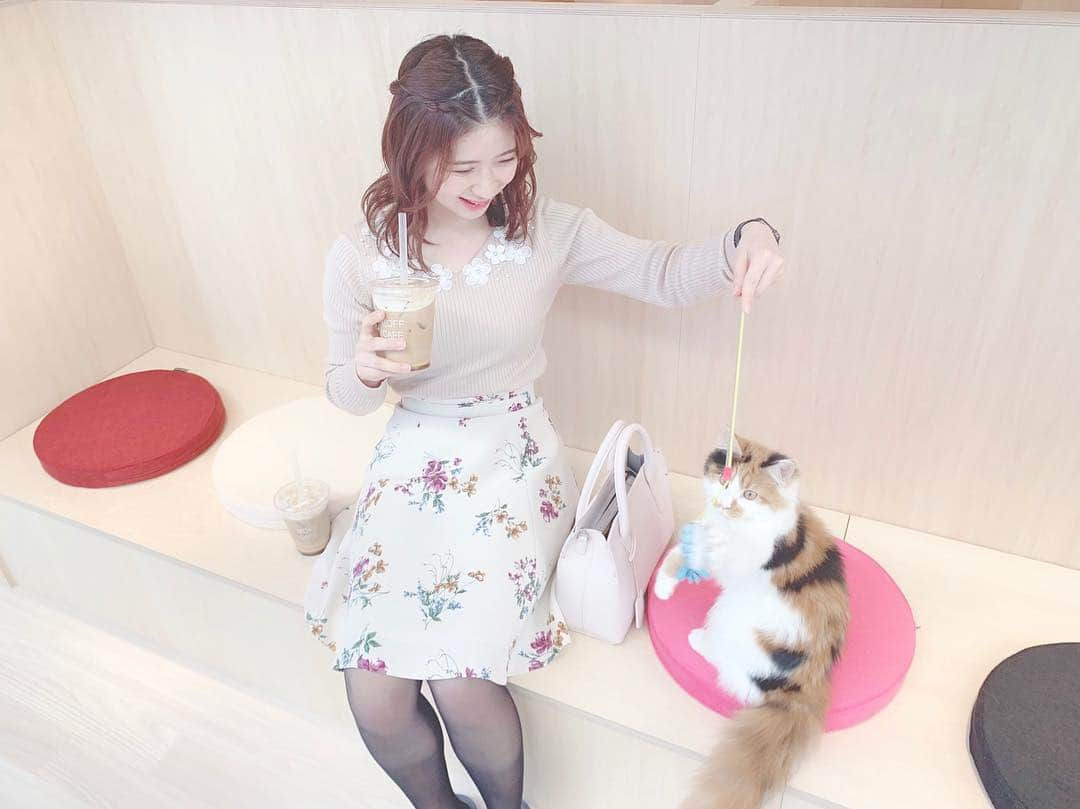 綾瀬麗奈さんのインスタグラム写真 - (綾瀬麗奈Instagram)「☺️💐 . . 名古屋PARCO midi 3階 「Moff animal cafe」🐱 @moff_parco.nagoya . また会いにいかなきゃ😌💕 会えるうちに。会わないとね。 たくさん猫ちゃんの投稿したけど、 ここでおわり😌💐 . おやすみ🧸🌸✨ . . . #moffanimalcafe #モフアニマルカフェ #名古屋parco #名古屋パルコ #動物カフェ #アニマルカフェ #猫カフェ #栄カフェ #矢場町カフェ #カフェ巡り #ラテアート #サカエゴーラウンド #猫 #ねこちゃん . #綾瀬麗奈 #アイドル #dela #役者 #名古屋 #名古屋観光文化交流特命大使 #トレーニング女子 #筋トレ女子 #荒野行動女子 #tiktok #tiktokjapan」3月20日 0時28分 - ayasereina