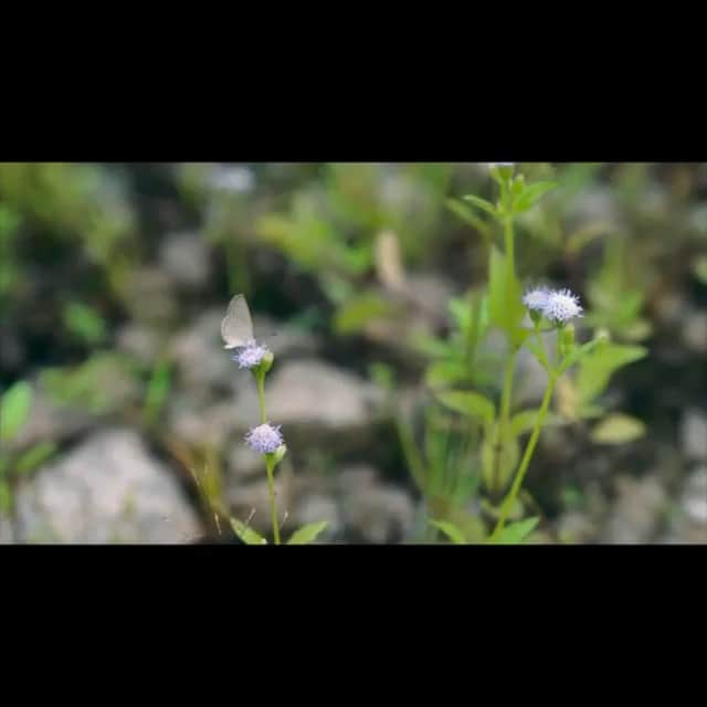 佐野和真のインスタグラム