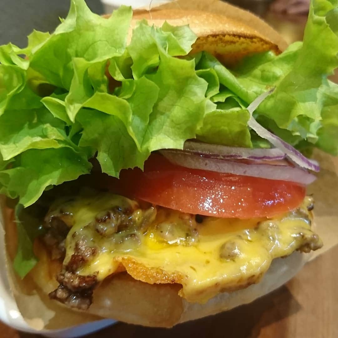 松本康太さんのインスタグラム写真 - (松本康太Instagram)「『チーズバーガー』名古屋の伏見にある「Handsome Burger(ハンサムバーガー)」と言うお店(^o^)/ 久しぶりに食べた♪めちゃくちゃ美味しい！名古屋に行ったら絶対食べに行きたいお店♪でも毎週月曜日、日曜日、祝日はお休みなので、観光客の人はなかなか行きづらいのです。。火曜日～土曜日で名古屋に行くことがあればぜひ＼(^o^)／！ #チーズバーガー #名古屋 #ハンサムバーガー #大好きなお店 #handsomeburger #クオリティー 高くて #650円 #安い #レギュラー松本 #あるある探検隊 #burger #japan #nagoya #飯テロ」3月20日 1時00分 - aruarutankentai.matsumoto
