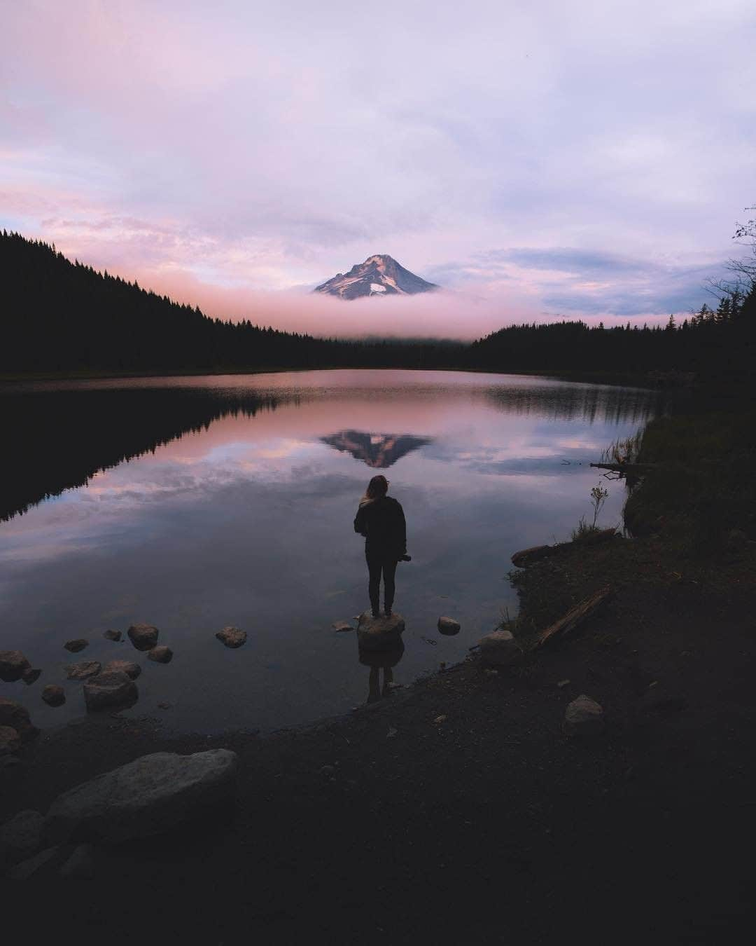 REIさんのインスタグラム写真 - (REIInstagram)「Reflections.  Photo: @dylanspitz in Mt. Hood National Forest, #Oregon. #OptOutside」3月20日 1時01分 - rei