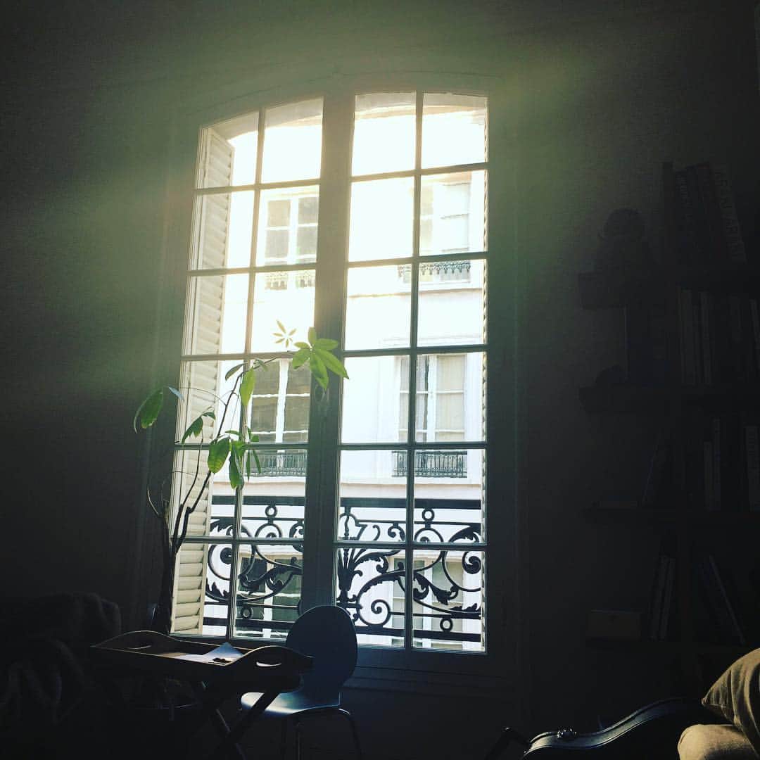 辻仁成さんのインスタグラム写真 - (辻仁成Instagram)「いま、ソファに寝転んでたら、光が綺麗だった。それだけです。パリは今週ずっと快晴みたい。」3月20日 1時21分 - tsujihitonari