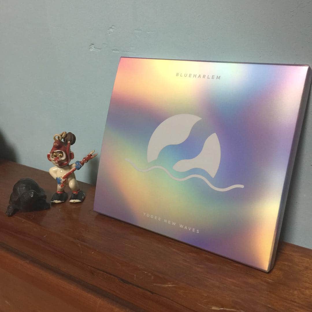 松井泉さんのインスタグラム写真 - (松井泉Instagram)「本日3/20発売の#yogeenewwaves の3rdアルバム、「BLUEHARLEM」に、 今回もパーカッションで参加させてもらいました！アルバムとなると感慨もひとしお、 胸を張って素晴らしい作品だと思います！ 是非聴いてみて下さい！」3月20日 1時36分 - izumimatsui