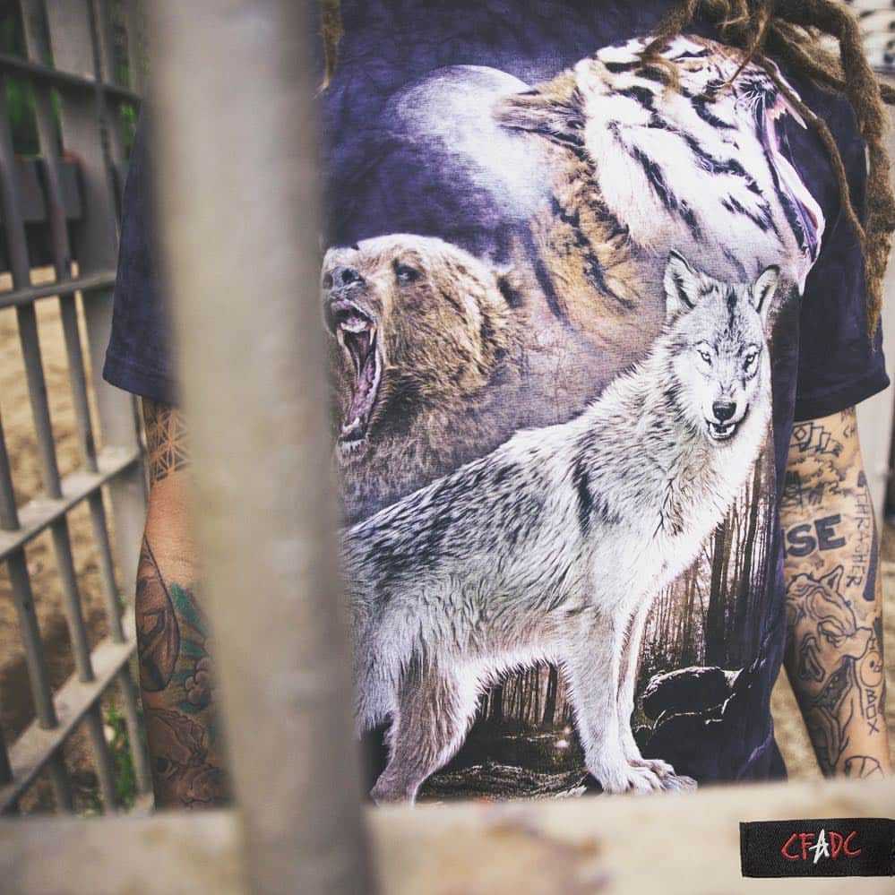 オルタモントのインスタグラム：「Unleash your inner beast w/ our new @mountainartwear collab tees 👹 // #CFADC」
