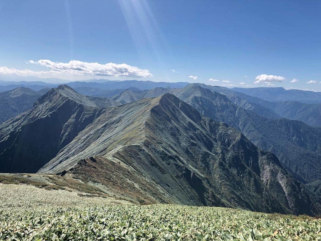 川田裕美さんのインスタグラム写真 - (川田裕美Instagram)「あーー！ 山に登りたーーーい！！！ 谷川岳、ホント綺麗だったなぁ… 今年もそろそろスタートかな✨  #山登りしたい#登山部始動したい#谷川岳」3月20日 2時21分 - hiromikawata163