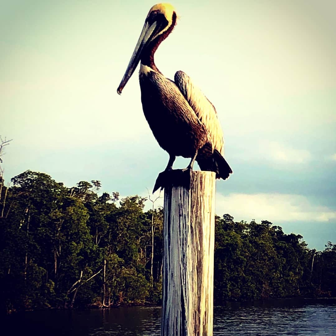 バレリー・イネルシさんのインスタグラム写真 - (バレリー・イネルシInstagram)「Nice to see nature wonders after working moth in cities. #valerie_inertie #earth #earthlover #loveearth #natureswonder #naturesperfection #instanature  #landscape #landscapephotography #naturepower #travelaroundtheworld #travel #worldwonders」3月20日 2時27分 - valerie_inertie