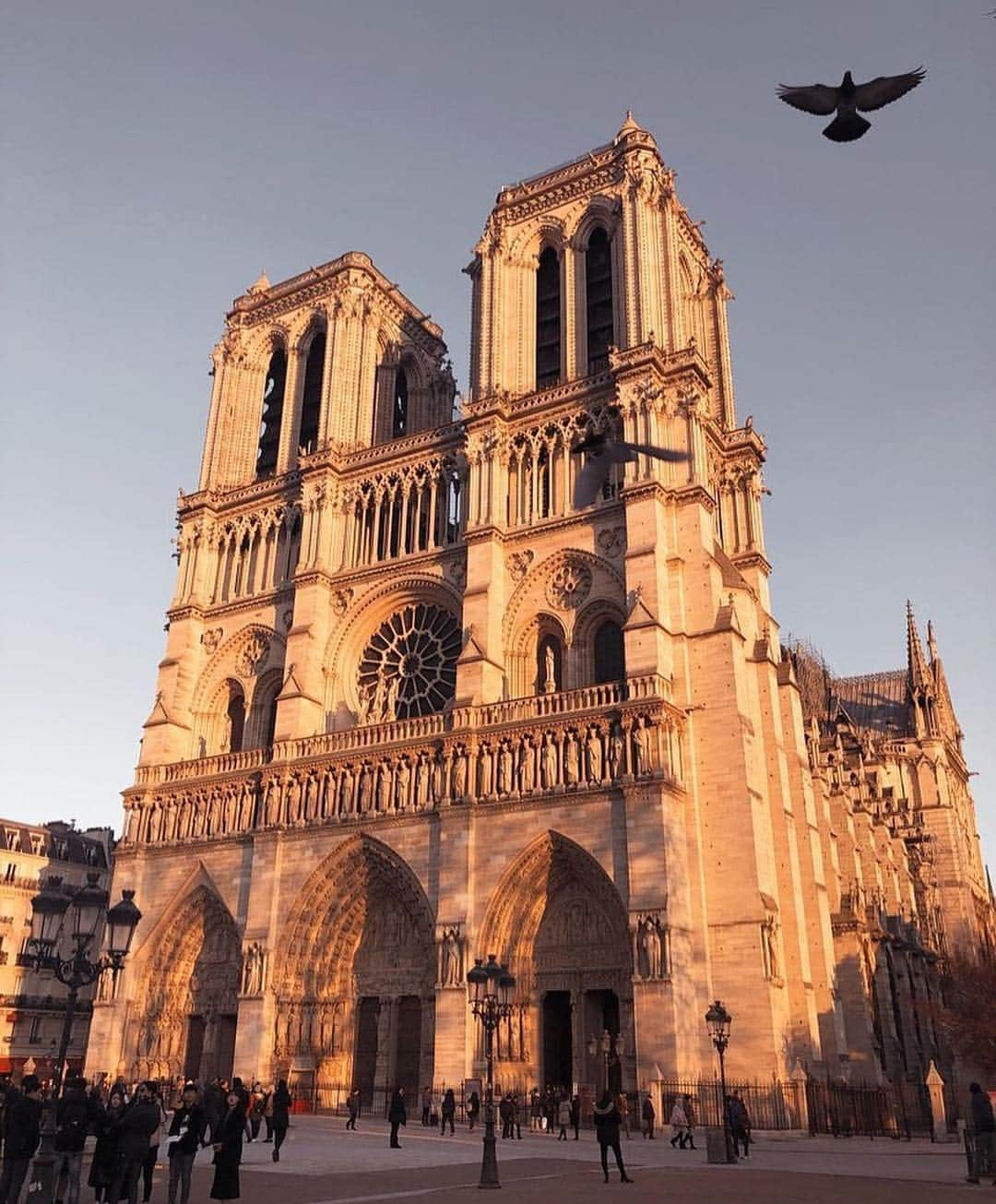 パリ・サンジェルマンFCさんのインスタグラム写真 - (パリ・サンジェルマンFCInstagram)「🌇 Parisian Sunset 🌇 Coucher de soleil parisien . Share your Paris city pictures with the hashtag #MyBeautifulParis 📸 🔴🔵 Partagez vos photos de la ville de #Paris avec le hashtag #MyBeautifulParis 📸 🔴🔵 . #ParisSaintGermain #PSG #Football #Paris #AllezParis #ICICESTPARIS」3月20日 2時28分 - psg