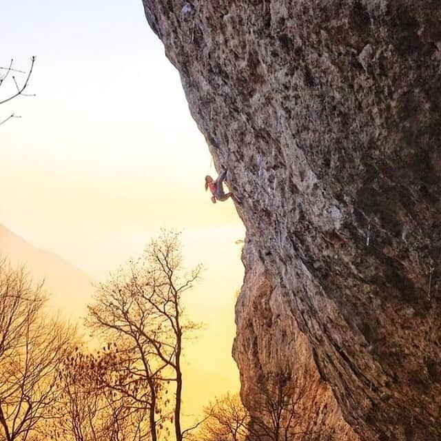 アンナ・シュテールのインスタグラム：「Yihaaaaa!  Another amazing weekend in Arco. On Sunday i climbed my project ‚Cinque Uve‘ 8c. So psyched that the decisive heel hook beta finally worked. It felt awesome to climb this line because I knew every little detail and every single foothold by heart. Really enjoyed the process of projecting a route! Can’t wait to try another one. Thanks for the photo @michelebort! • Also really happy to be part of the @wildcountry_official team! #pureclimbing #puremountain @salewa @lasportivagram.」