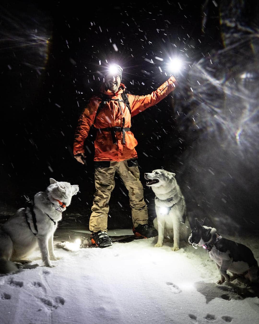 ケン・ブロックさんのインスタグラム写真 - (ケン・ブロックInstagram)「One of the reasons I love living in Park City, UT is that I can walk straight out of my house and up a mountain with our fur beasts - and ride my DC snowboard back down whilst they chase me. I actually think I have one of the most epic dog walk situations in the world! #epicdogwalk #YukiTheDestroyer #BentleyChickenFingersBlock #ParkCity」3月20日 2時56分 - kblock43