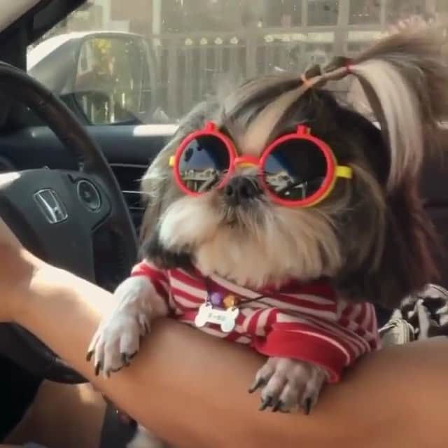 Paul Octaviousのインスタグラム：「Finally leaving the house today...☀️ #highponydontcare」