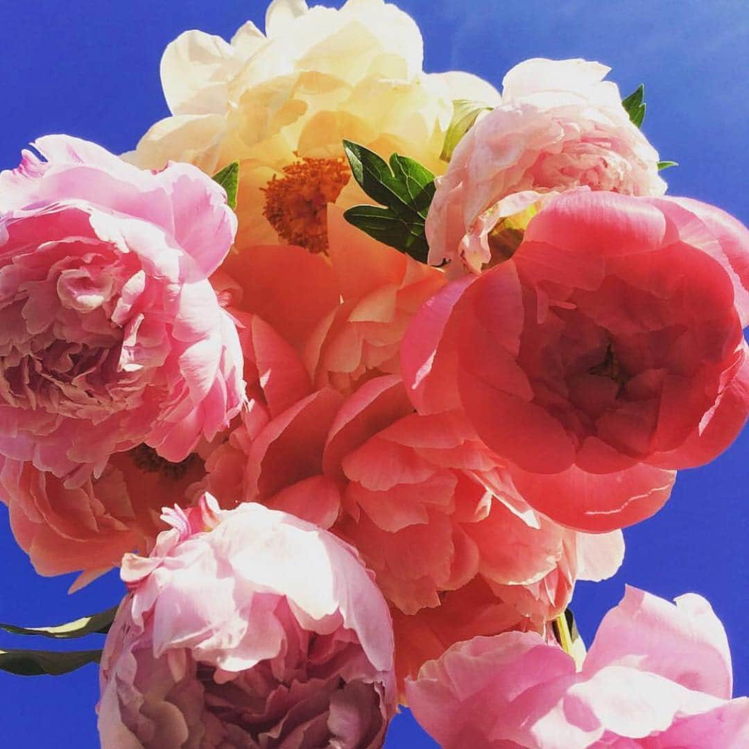 ジェシカ・ゾアのインスタグラム：「@tilly2milly ✨ #TakeTimeToSmellTheRoses」