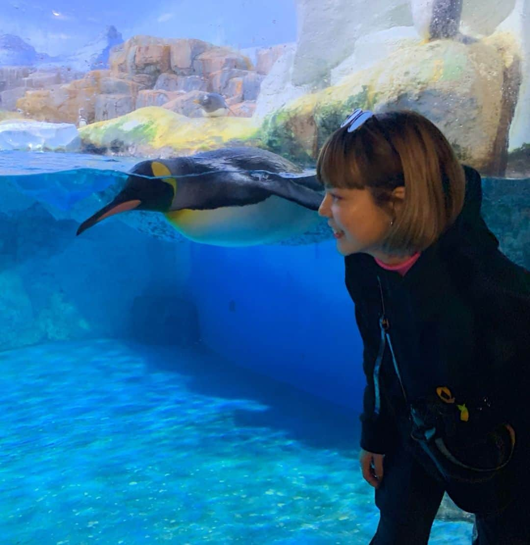 長澤メイさんのインスタグラム写真 - (長澤メイInstagram)「初めて八景島シーパラダイス🐬🐠 車だと1時間くらいで 行けちゃうのね！ さいくぅー！🔥 やっぱりカワウソが ナンバーワンだった🤦🏽‍♀️💓 #mei_outfit #八景島シーパラダイス」3月20日 14時27分 - xxmeixx1208