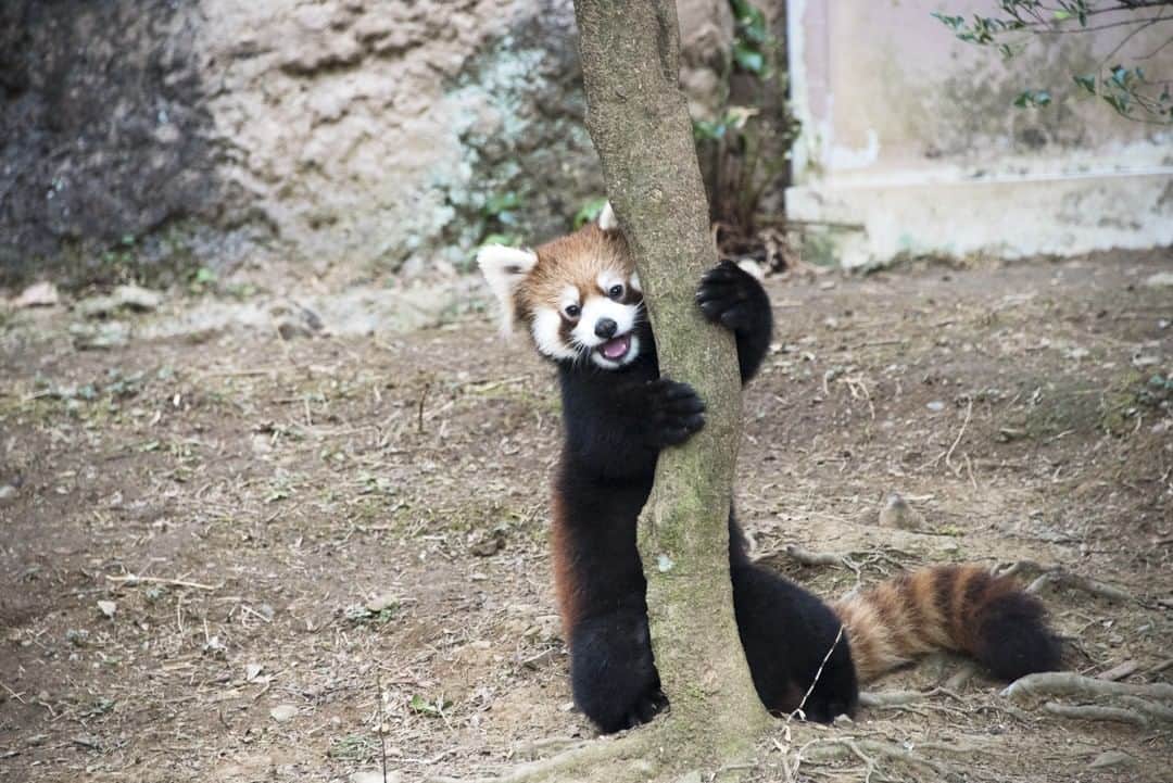 東京都庁広報課のグルメインスタ
