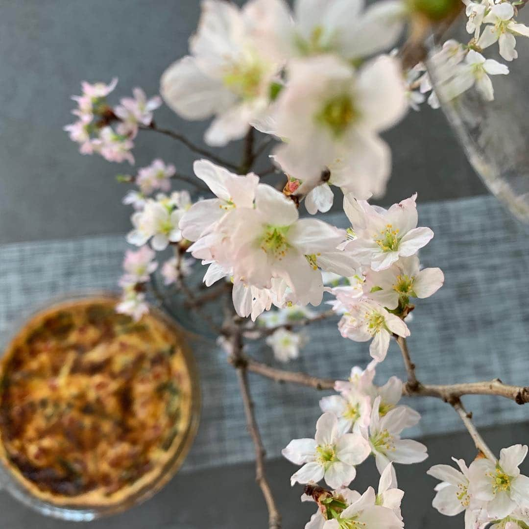 佐々木希さんのインスタグラム写真 - (佐々木希Instagram)「友人が遊びに来るので キッシュ焼きました🥧 テーブルに桜を🌸 お花見行きたいなぁ🌸🌸🌸 #希んちのごはん #キッシュ」3月20日 13時38分 - nozomisasaki_official